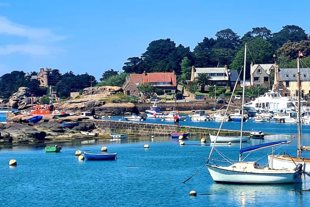 Le Nid Bleu Perros-Guirec